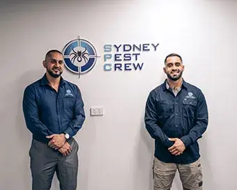 Why your real estate/strata company requires Sydney Pest Crew as their primary pest controller?