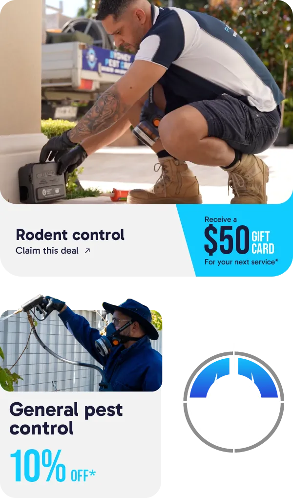 pest control promo